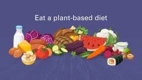 Plant Based Diet